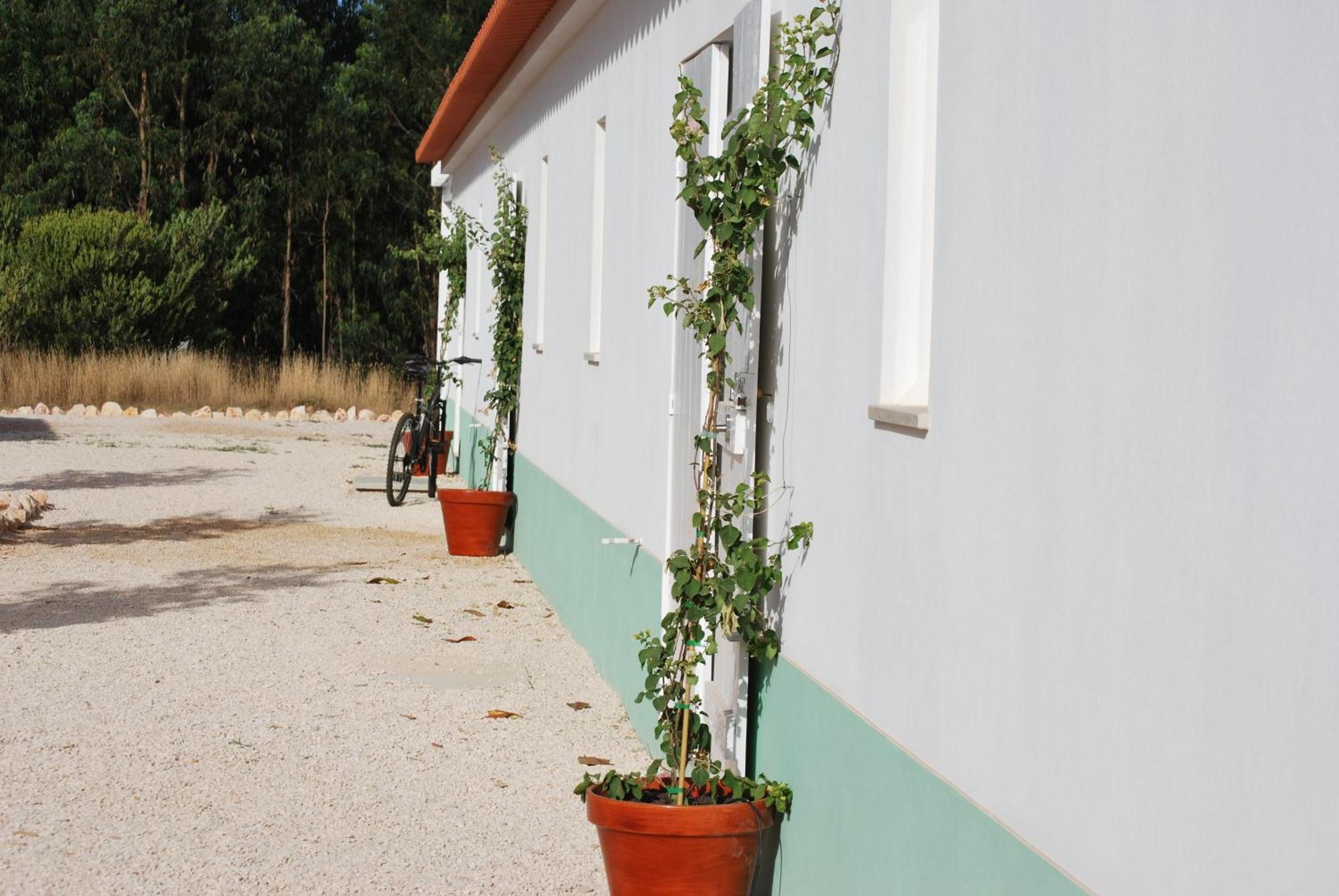 Gospodarstwo wiejskie Casas Da Lupa